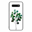For Samsung Galaxy S10+ Colorful Painted Glass Phone Case(Sapling) - 1