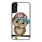 For Samsung Galaxy S22+ 5G Colorful Painted Glass Phone Case(Owl) - 1