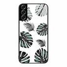 For Samsung Galaxy S22+ 5G Colorful Painted Glass Phone Case(Banana Leaf) - 1