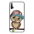 For Honor 20 Pro Colorful Painted Glass Phone Case(Owl) - 1