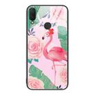 For Huawei nova 3i Colorful Painted Glass Phone Case(Flamingo) - 1