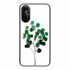 For Huawei nova 8 Pro 4G Colorful Painted Glass Phone Case(Sapling) - 1