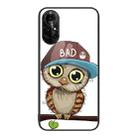 For Huawei nova 8 Pro 4G Colorful Painted Glass Phone Case(Owl) - 1