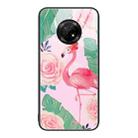For Huawei Enjoy 20 Plus 5G Colorful Painted Glass Phone Case(Flamingo) - 1