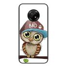 For Huawei Enjoy 20 Plus 5G Colorful Painted Glass Phone Case(Owl) - 1