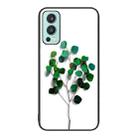 For OnePlus Nord 2 5G Colorful Painted Glass Phone Case(Sapling) - 1