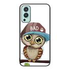 For OnePlus Nord 2 5G Colorful Painted Glass Phone Case(Owl) - 1