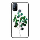 For OnePlus Nord N100 Colorful Painted Glass Phone Case(Sapling) - 1