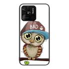 For Xiaomi Redmi 10C Colorful Painted Glass Phone Case(Owl) - 1