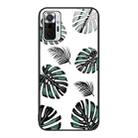 For Xiaomi Redmi Note 10 Pro 4G Colorful Painted Glass Phone Case(Banana Leaf) - 1