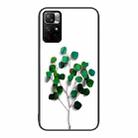 For Xiaomi Redmi Note 11 5G Colorful Painted Glass Phone Case(Sapling) - 1