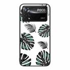 For Xiaomi Poco X4 Pro 5G Colorful Painted Glass Phone Case(Banana Leaf) - 1