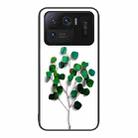 For Xiaomi Mi 11 Ultra Colorful Painted Glass Phone Case(Sapling) - 1