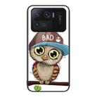 For Xiaomi Mi 11 Ultra Colorful Painted Glass Phone Case(Owl) - 1