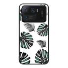 For Xiaomi Mi 11 Ultra Colorful Painted Glass Phone Case(Banana Leaf) - 1