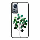 For Xiaomi 12 Pro Colorful Painted Glass Phone Case(Sapling) - 1