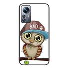 For Xiaomi 12 Pro Colorful Painted Glass Phone Case(Owl) - 1