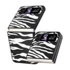 For Samsung Galaxy Z Flip3 5G Leather Shockproof Protective Phone Case(Black White Strip Texture) - 1