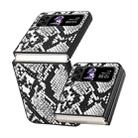 For Samsung Galaxy Z Flip3 5G Leather Shockproof Protective Phone Case(Snake Texture) - 1