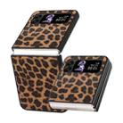 For Samsung Galaxy Z Flip4 Leather Shockproof Protective Phone Case(Brown Leopard Texture) - 1