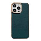 For iPhone 14 Pro Genuine Leather Luolai Series Nano Electroplating Phone Case(Dark Green) - 1
