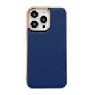 For iPhone 14 Pro Max Genuine Leather Luolai Series Nano Electroplating Phone Case (Dark Blue) - 1