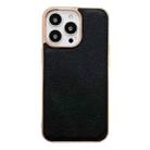 For iPhone 13 Pro Genuine Leather Luolai Series Nano Electroplating Phone Case (Black) - 1