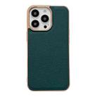 For iPhone 13 Pro Genuine Leather Luolai Series Nano Electroplating Phone Case (Dark Green) - 1