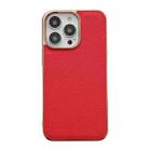 For iPhone 13 Pro Max Genuine Leather Luolai Series Nano Electroplating Phone Case (Red) - 1