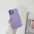 For iPhone 13 Pro Max 2.0mm Oil Injection PP Phone Case  (Purple) - 1