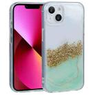 For iPhone 14 DFANS DESIGN Dual-color Starlight Shining Phone Case (Green) - 1