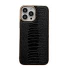 For iPhone 14 Pro Genuine Leather Pinshang Series Nano Electroplating Phone Case(Black) - 1