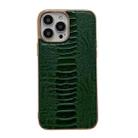 For iPhone 14 Pro Genuine Leather Pinshang Series Nano Electroplating Phone Case(Green) - 1