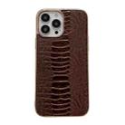 For iPhone 14 Pro Max Genuine Leather Pinshang Series Nano Electroplating Phone Case (Coffee) - 1