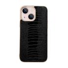 For iPhone 13 Genuine Leather Pinshang Series Nano Electroplating Phone Case(Black) - 1