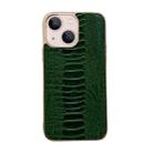 For iPhone 13 Genuine Leather Pinshang Series Nano Electroplating Phone Case(Green) - 1