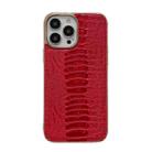 For iPhone 13 Pro Genuine Leather Pinshang Series Nano Electroplating Phone Case (Red) - 1