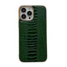 For iPhone 13 Pro Genuine Leather Pinshang Series Nano Electroplating Phone Case (Green) - 1