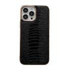 For iPhone 13 Pro Max Genuine Leather Pinshang Series Nano Electroplating Phone Case (Black) - 1