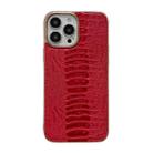 For iPhone 13 Pro Max Genuine Leather Pinshang Series Nano Electroplating Phone Case (Red) - 1