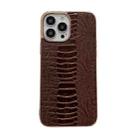 For iPhone 13 Pro Max Genuine Leather Pinshang Series Nano Electroplating Phone Case (Coffee) - 1