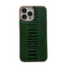 For iPhone 13 Pro Max Genuine Leather Pinshang Series Nano Electroplating Phone Case (Green) - 1