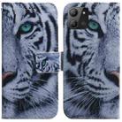 For Infinix Hot 11 2022 Coloured Drawing Leather Phone Case(Tiger) - 1