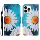 For iPhone 14 Pro Max 3D Colored Drawing Flip Leather Phone Case (Chrysanthemum) - 1