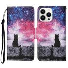 For iPhone 14 Pro Max 3D Colored Drawing Flip Leather Phone Case (Star Cat) - 1