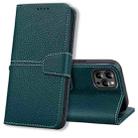 For iPhone 14 Pro Max Litchi RFID Leather Phone Case (Green) - 1