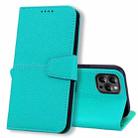 For iPhone 14 Pro Max Litchi RFID Leather Phone Case (Malachite Blue) - 1