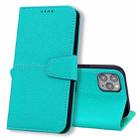 For iPhone 12 / 12 Pro Litchi RFID Leather Phone Case(Malachite Blue) - 1