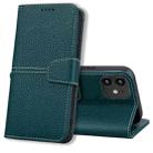 For iPhone 11 Litchi RFID Leather Phone Case (Green) - 1