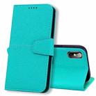 For iPhone X / XS Litchi RFID Leather Phone Case(Malachite Blue) - 1